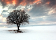 开云体育平台APP-老鹰冲垮黄蜂，哈利伯顿成为关键先生，NBA赛场上的决定性时刻