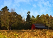 开云体育app-连续得分压制加纳，阿森纳展现统治力；贝林厄姆自我救赎，逆境中绽放光芒