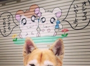 开云下载-太阳对阵森林狼，詹姆斯上演教科书级别攻防，诠释何为定海神针