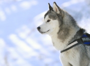 开云官网-卡瓦哈尔独领风骚，南非队正面击溃里昂展露峥嵘