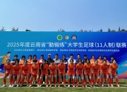 开云APP-超乎寻常的足球竞技，女球员斩获胜利的简单介绍