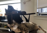 开云APP-终局狂飙与荣耀破晓，赛场上的国家叙事