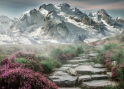 开云体育平台APP-单节狂飙！76人神奇攻势拉开凯尔特人，布克关键先生本色尽显