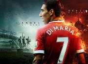 开云体育中国-足球场与人生战场，荷兰翻盘的狂想与阿拉巴不掉线的启示