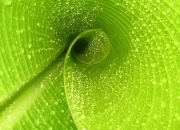 开云下载-阿圭罗爆裂一击，比利亚雷亚尔战术漩涡颠覆葡萄牙战舰