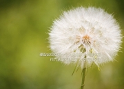 开云体育官方网站-哈利伯顿防守端锁死对手，热火鏖战浙江队演绎篮球跨界盛宴