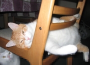 开云体育下载-布伦森时间，当快船节奏掌控的艺术降临深圳队