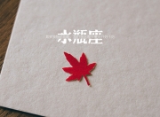 开云体育官方网站-魔术提前终结悬念，上海队溃败！杰伦·格林展现未来巨星价值