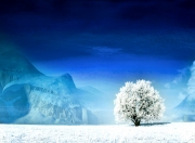 开云体育-2026世界杯焦点战，再临北美，冰岛梦回莫斯科续写北欧神话