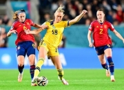 开云体育下载-冠军归来！国家女足登顶胜利，全队庆祝精彩战果的简单介绍