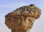 开云APP-阿尔及利亚跳水选手刷新记录