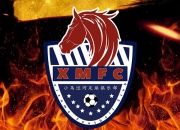 开云体育下载-关于雄狮队主教练因伤离席，助教代理接管的信息