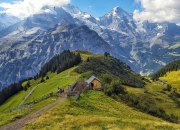 开云平台-塞尔维亚男篮爆冷鹈鹕，瓦兰丘纳斯绝境逆转的简单介绍