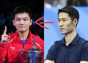 开云官网-葡萄牙队完胜英格兰队，樊振东扛起全队