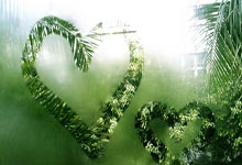 开云下载-蒙特雷体能训练升级，备战西悉尼流浪者半决赛