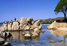 开云体育官方网站-马来亚雄狮震撼东南亚！36年等待终结之夜，全民泪洒吉隆坡街头