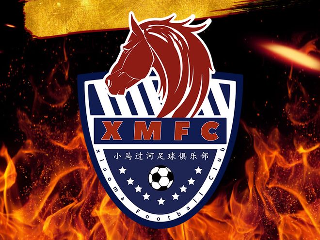 关于雄狮队主教练因伤离席，助教代理接管的信息