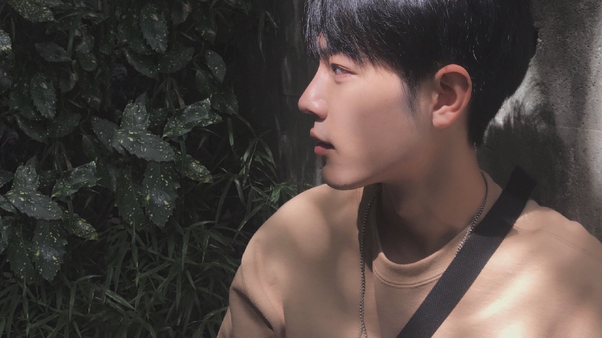 当东方铁壁遭遇美式烈焰，爱德华兹的50分风暴与辽宁队的淬火之战