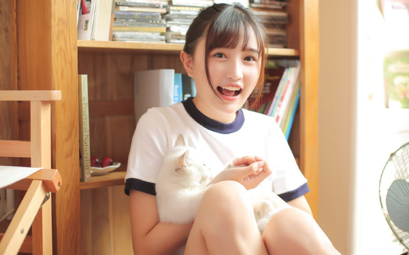 跨越时空的体育意志,当勒沃库森绝杀遇见阿拉巴接管西决