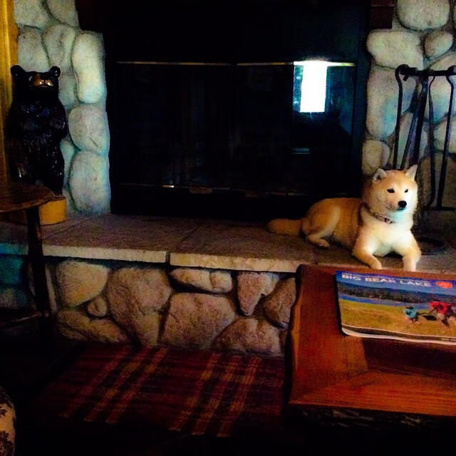 若日尼奥指挥若定，阿森纳友谊赛轻取日本队展露中场统治力