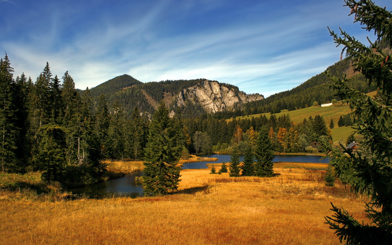 欧冠决赛夜，一个NBA球星在篮球场点燃了绿茵激情