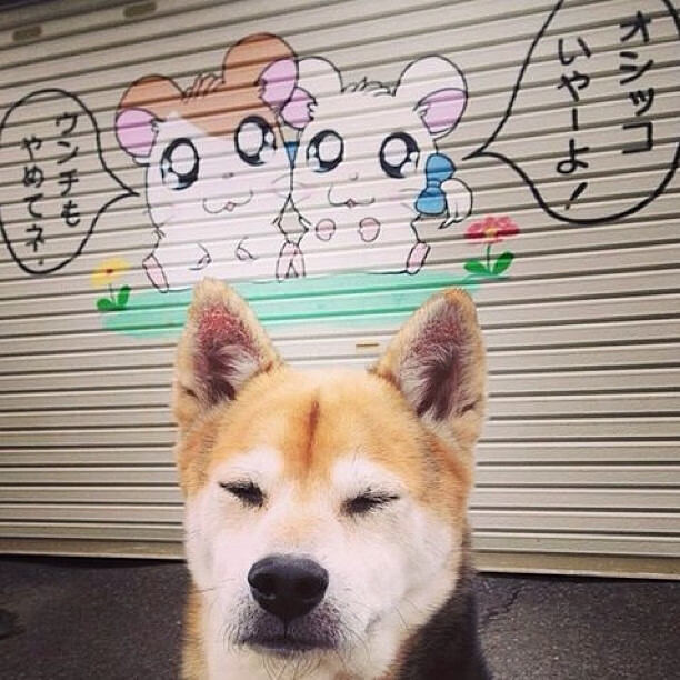 太阳对阵森林狼，詹姆斯上演教科书级别攻防，诠释何为定海神针