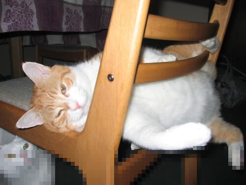 孤胆英雄难敌精密机器，欧文神迹背后，灰熊战术如何肢解篮网