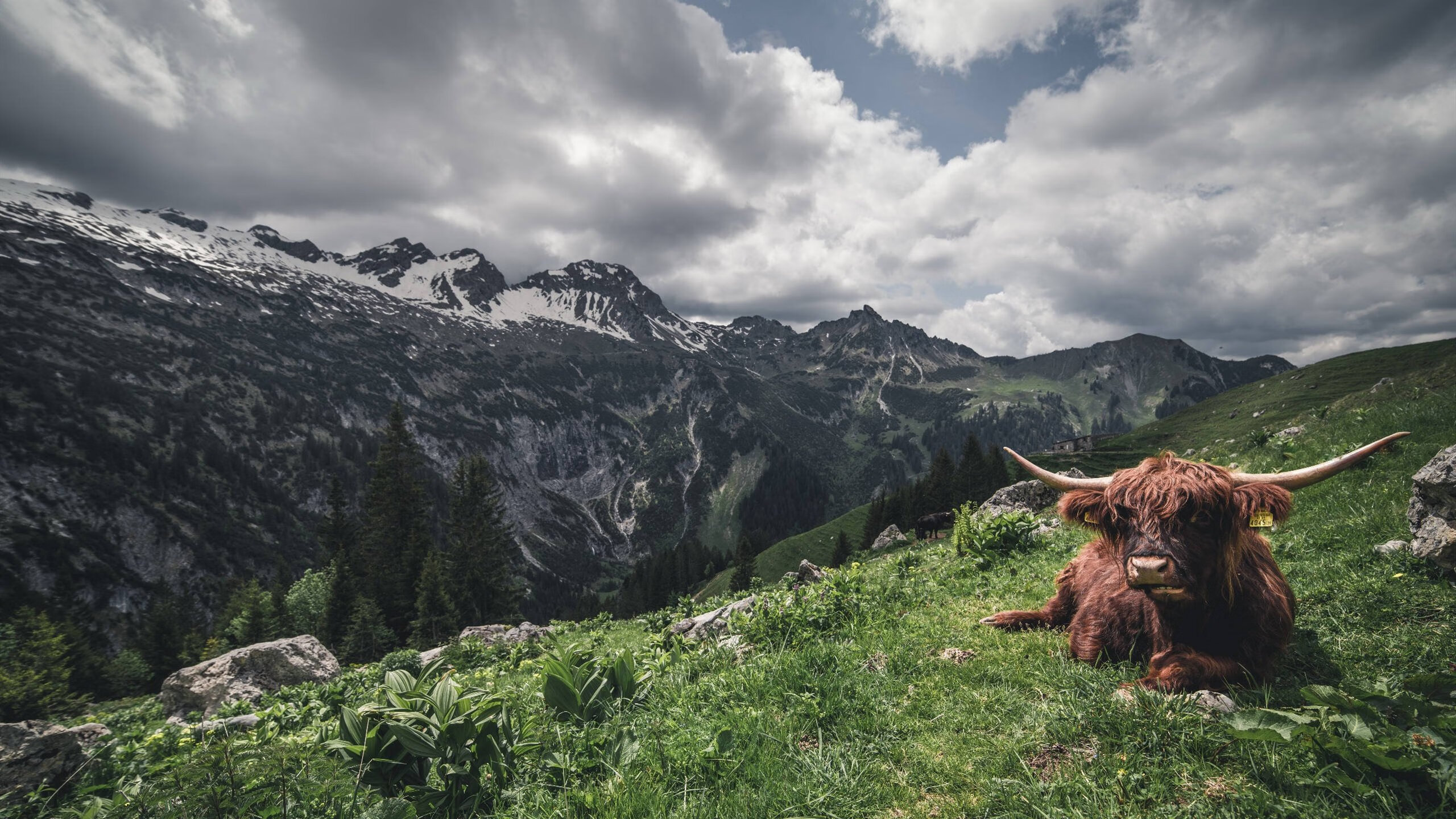 美加墨世界杯焦点战，奇才逆转胜国王，争冠之路显曙光