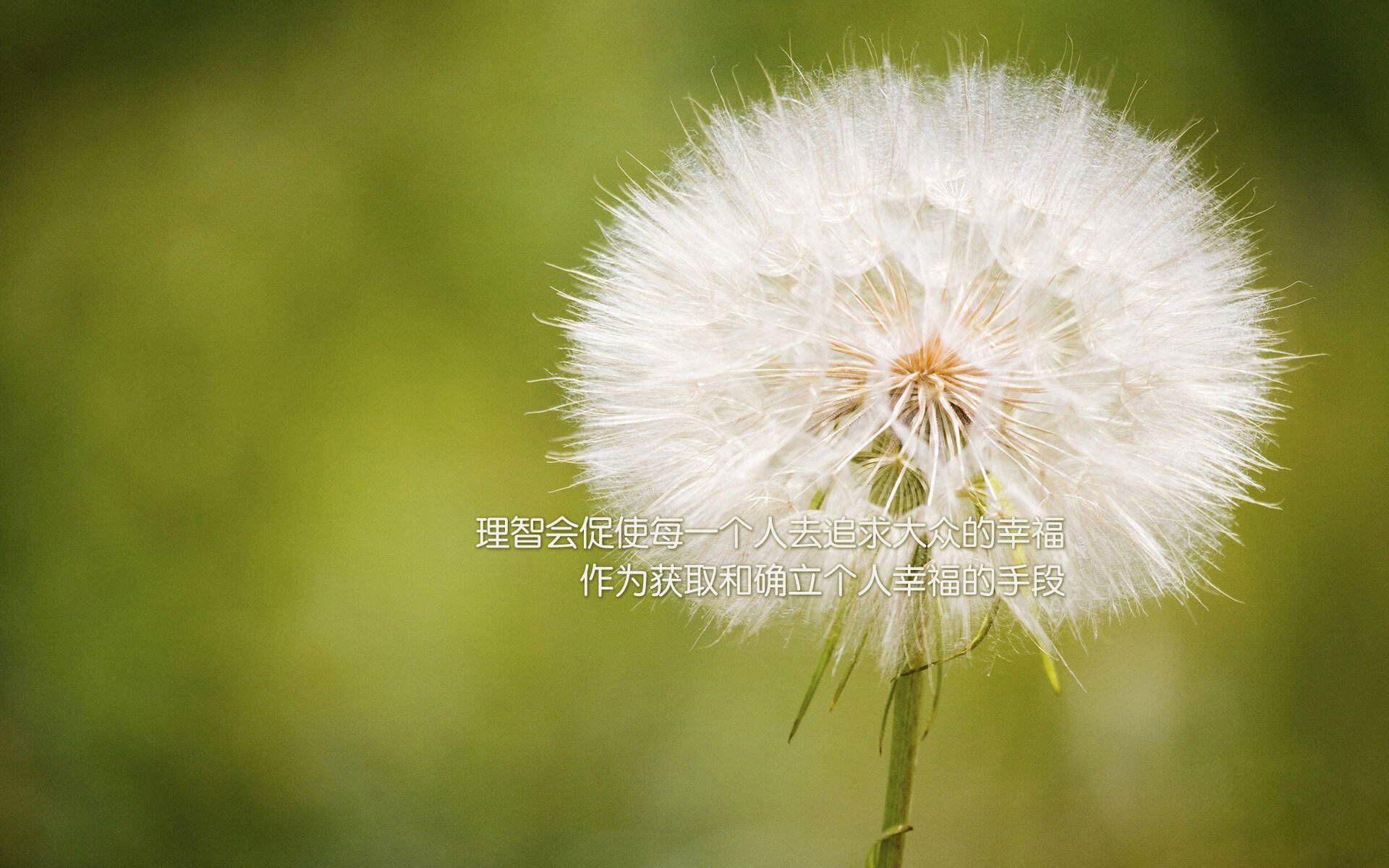 哈利伯顿防守端锁死对手，热火鏖战浙江队演绎篮球跨界盛宴